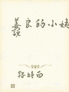 善良的小姨子小说