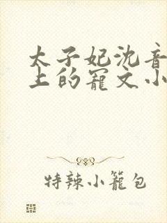 太子妃沈音和皇上的宠文小说封面