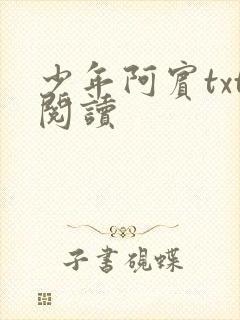 少年阿宾txt阅读封面