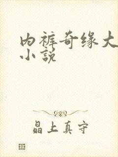 内裤奇缘大团结小说