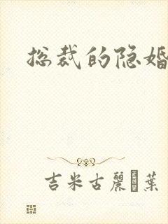 总裁的隐婚新娘封面