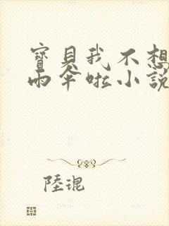 宝贝我不想带小雨伞啦小说