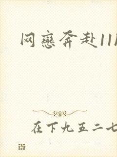 网恋奔赴11h封面