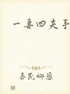 一妻四夫手记封面