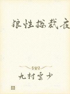 狼性总裁夜欢宠封面