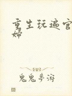 重生玩遍官场贵妇