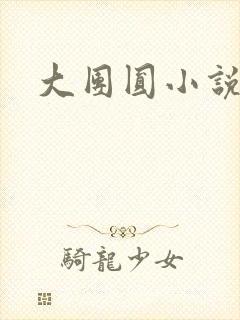 大团圆小说
