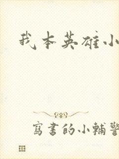 我本英雄小说