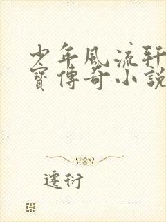 少年风流轩辕大宝传奇小说封面