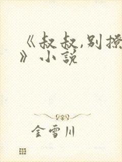 《叔叔,别撩我》小说封面