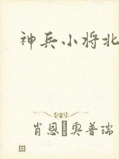 神兵小将北冥雪