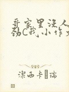 哥家里没人使点劲C我小作文