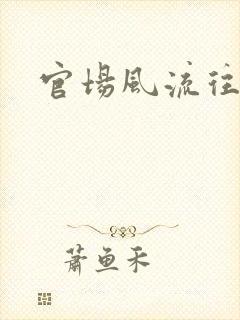 官场风流往事封面