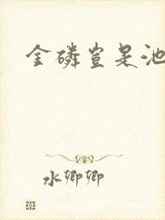 金磷岂是池中物封面
