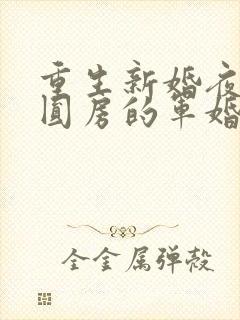 重生新婚夜正在圆房的军婚