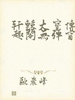 轩辕大宝传奇笔趣阁无弹窗