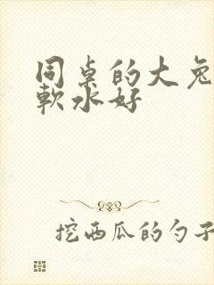 同桌的大兔子好软水好