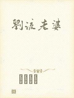 刘流老婆封面