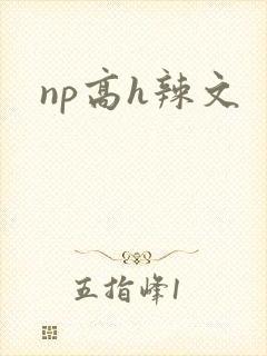 np高h辣文