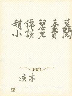 赵锦儿秦慕修的小说免费阅读全文