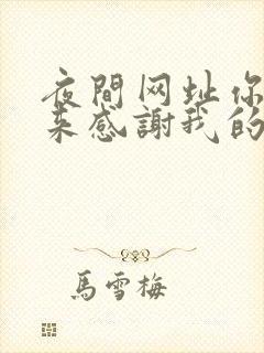 夜间网址你会回来感谢我的