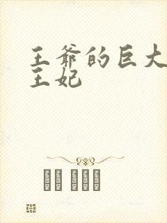 王爷的巨大进入王妃封面