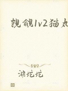 觊觎1v2猫丸