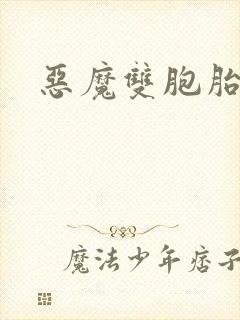 恶魔双胞胎封面