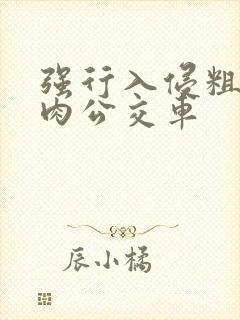 强行入侵粗暴h肉公交车