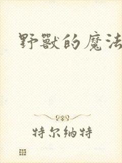 野兽的魔法师封面