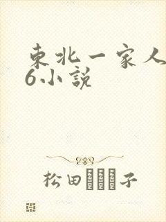 东北一家人1一6小说封面
