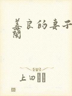 善良的妻子王晓兰封面