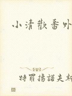 小清欢番外