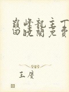 巅峰龙主丁长顺田晓兰免费阅读封面