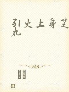 引火上身芝麻糖丸