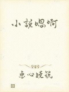 小说嗯啊