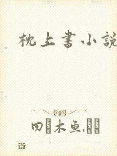 枕上书小说封面