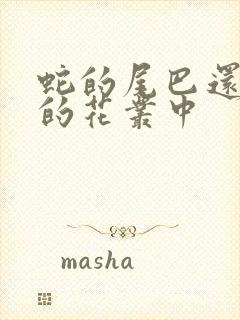 蛇的尾巴还在我的花丛中封面