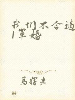 我们不合适1v1军婚