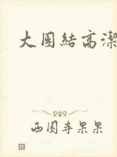 大团结高洁