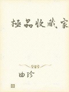 极品收藏家