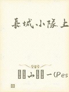 长城小队上中下