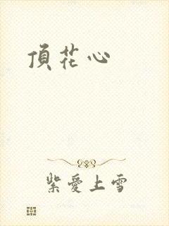 顶花心封面