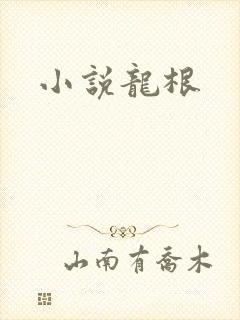 小说龙根
