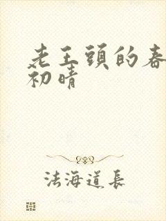 老王头的春天林初晴