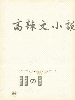 高辣文小说
