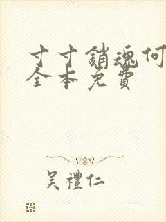 寸寸销魂何生祥全本免费