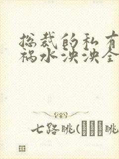 总裁的私有宝贝祸水泱泱全文阅读