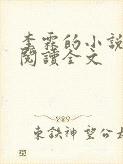 李霖的小说免费阅读全文