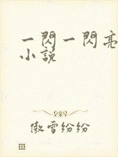 一闪一闪亮星星小说